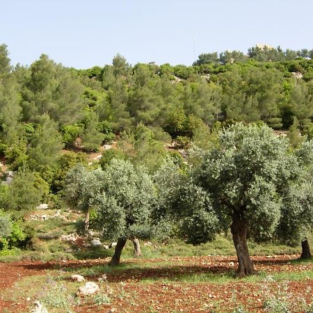 Ajloun Hotel Buitenkant foto