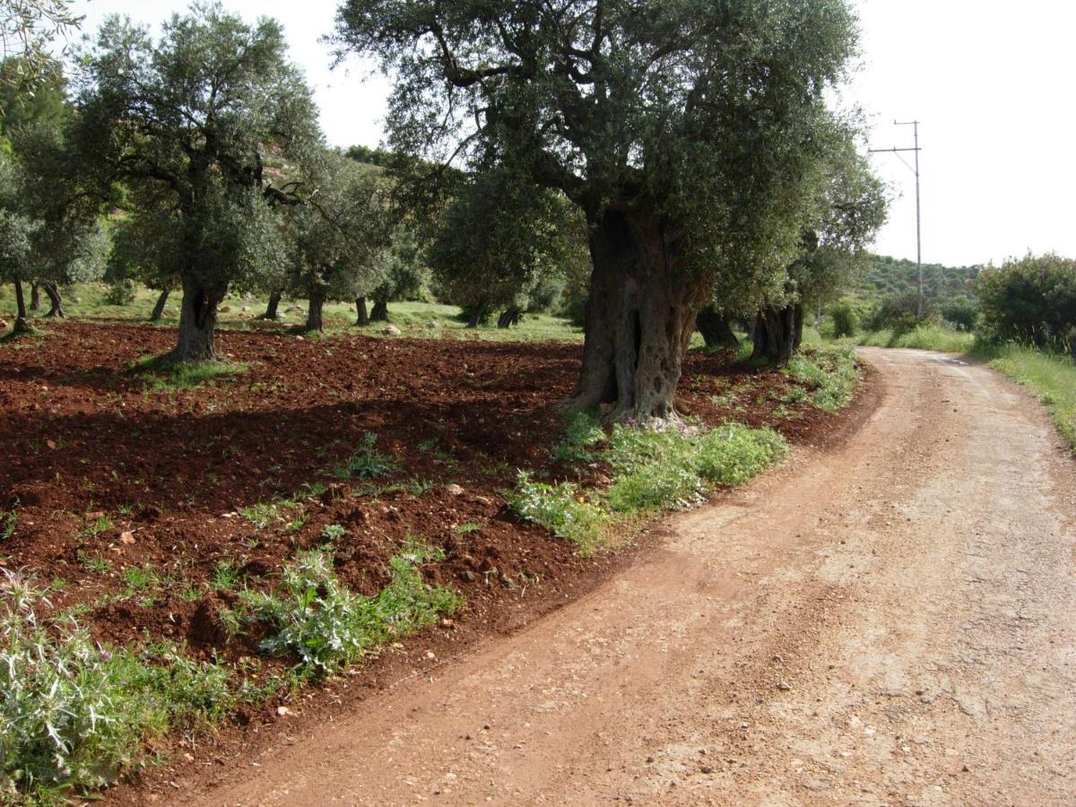 Ajloun Hotel Buitenkant foto